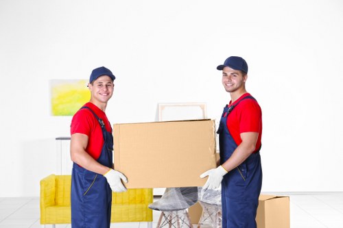 Professional house removals planning in Woodfordgreen