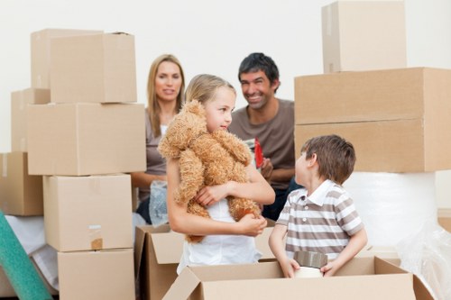 Moving and renovation storage support in Woodfordgreen
